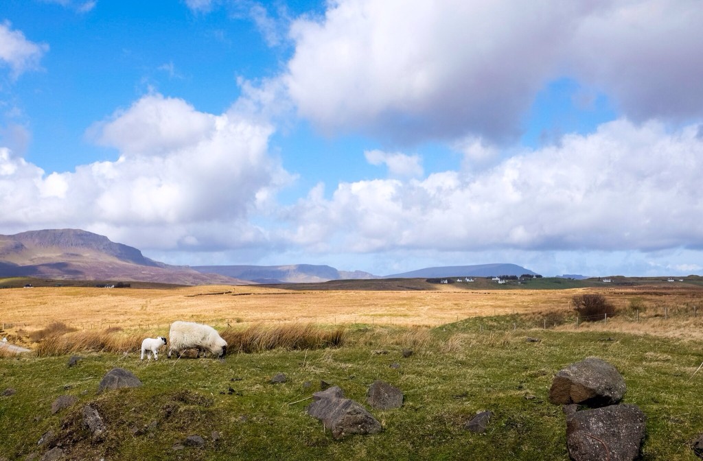 Isle of Skye - Scottish charm 11